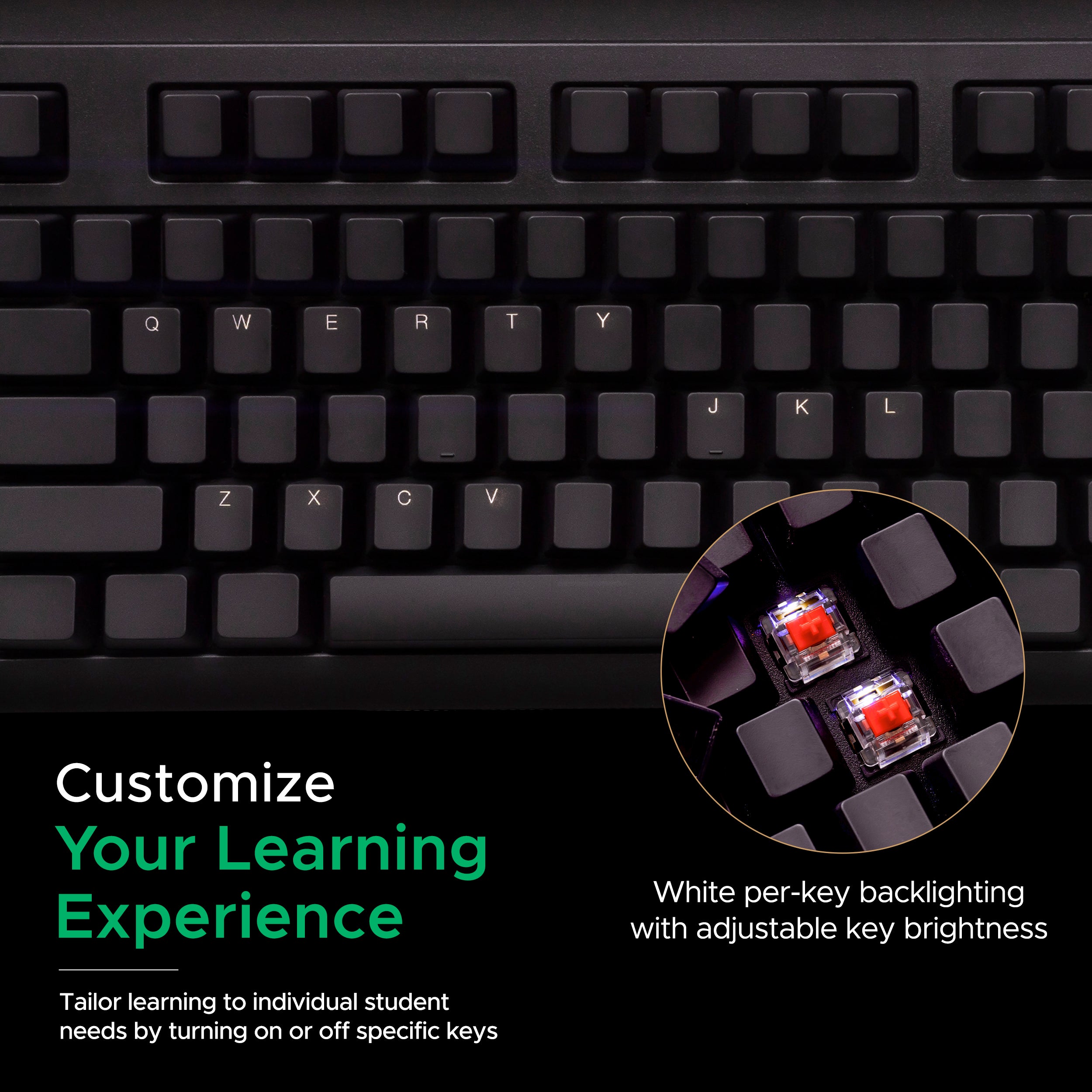 KeyMaster Learning Lights Keyboard Hides Key Visibility as Students Learn Touch Typing